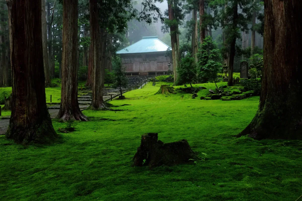 ～33年に一度の御開帳～　勝山白山平泉寺を巡る　★5月24日(土)出発