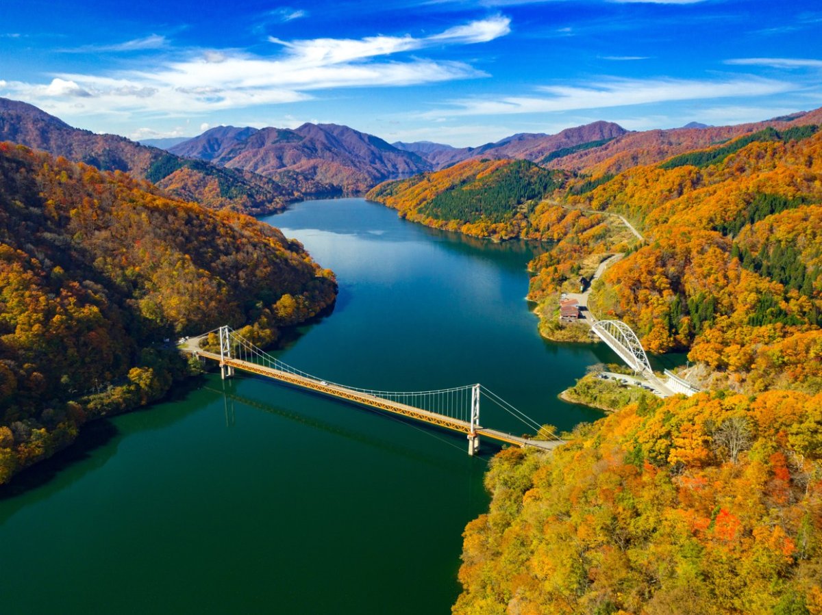 越美北線利用！絶景の九頭竜湖巡り　★11月5日（木）、11月8日（日）