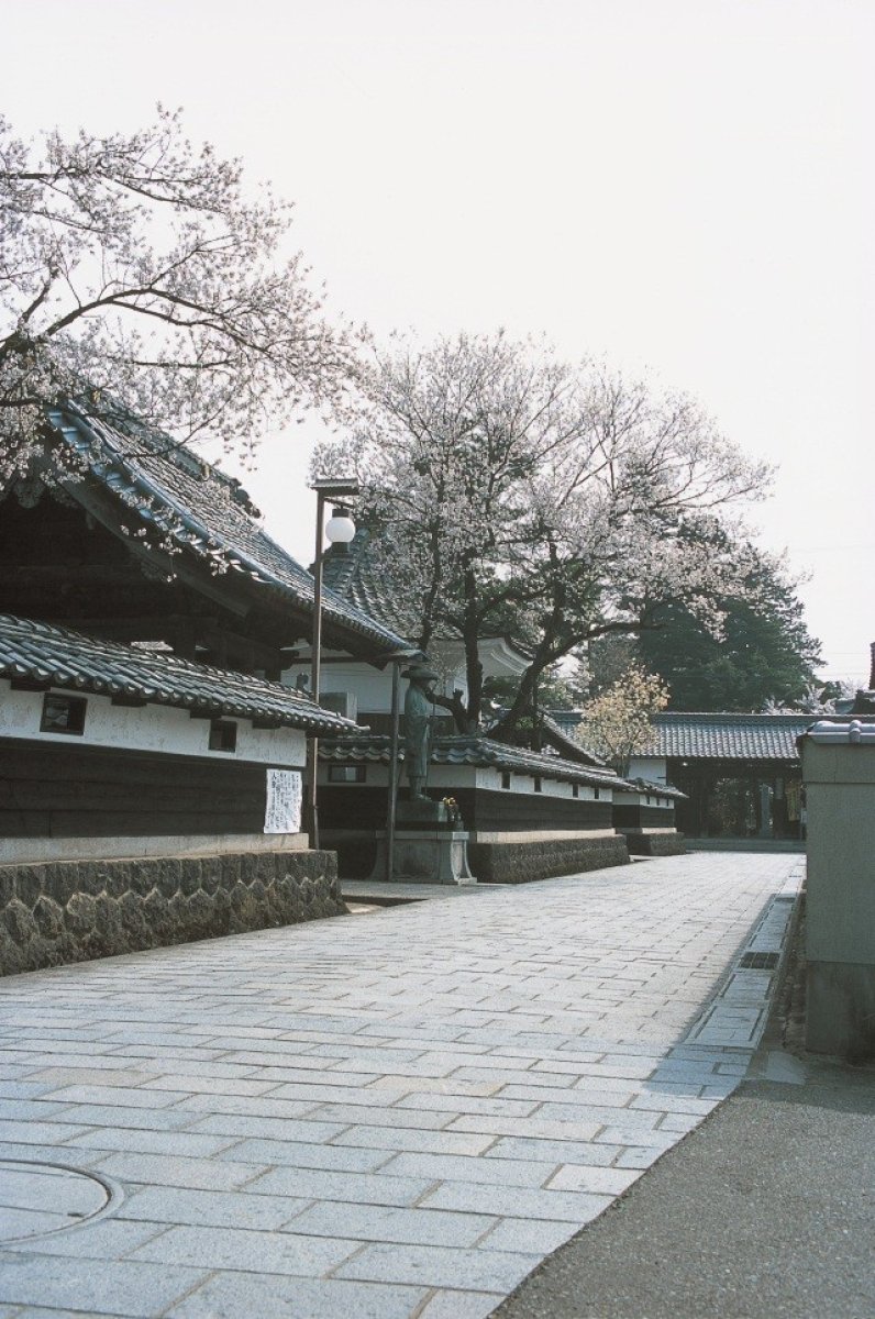 春の奥越前　城下町越前おおのと勝山大仏　★3月22日(日)・29日(日)出発