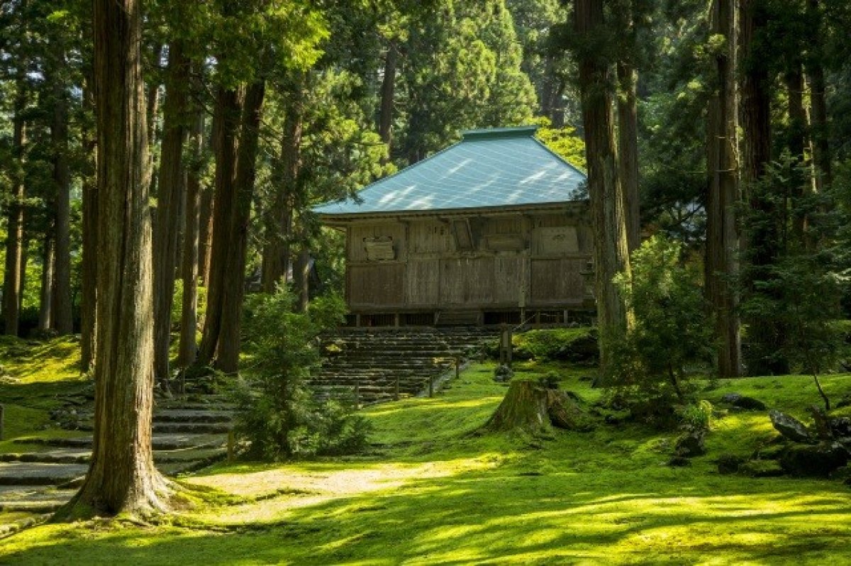 秋の奥越をめぐる～勝山・大野～